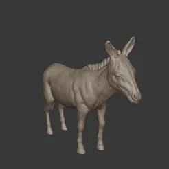Realistic Donkey – Farm Animal 3D Print Model