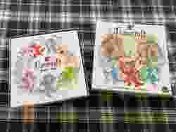 Root Organizer Insert for all Expansions