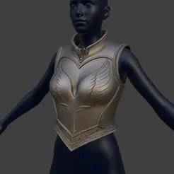 🦢 Royal Swanplate Breast Armor