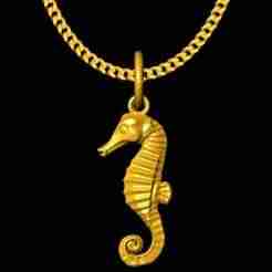 seahorse charm