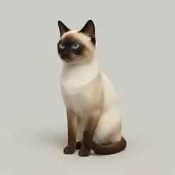 Siamese Cat 3D Model – Gato Siamês STL