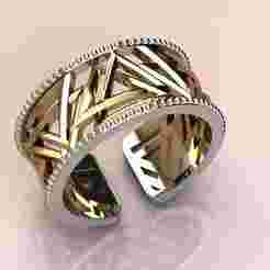 Silver Ring abstract