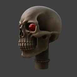 Skull Cane Handle