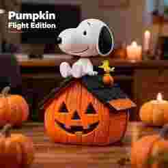 Snoopy & Woodstock Pumpkin Flight Edition 3D Print STL