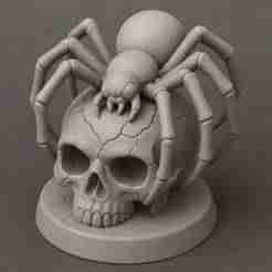 Spider on Skull