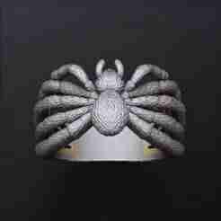 Spider Ring v2 3D print model