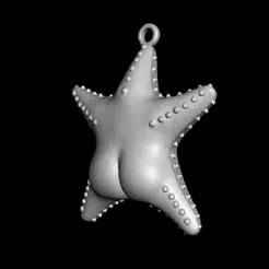 Star of Mar del Plata