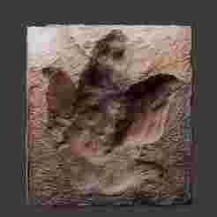 T-Rex Footprint - High Detail Real Fossil Replica
