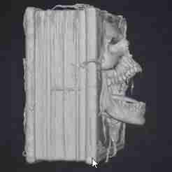 The book of the dead