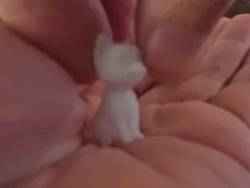 Tuya ZigBee Multi-mode Gateway Hub Mount