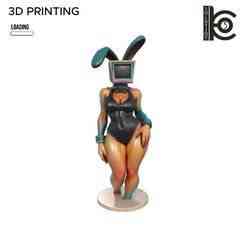 TV Bunny Girl - Retro Tech meets Pin-Up.