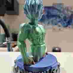 Vegeta Super Sayan Blue Damage Bust Dragon Ball Z/Super