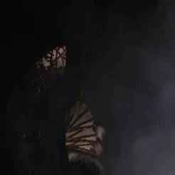 Vessel Pauldron Blank (TMBTE)