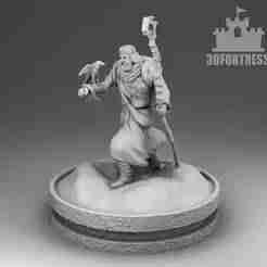 Viking Druid 3D print model