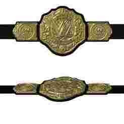 World Championship Belt