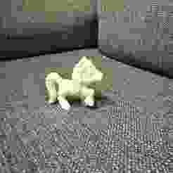 Shetland Pony