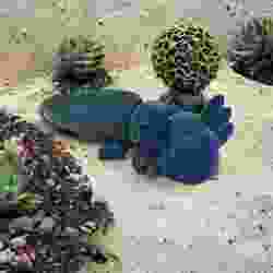 Sevimli Flexi Axolotl