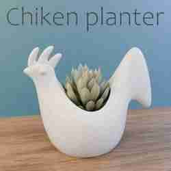 chiken ekici
