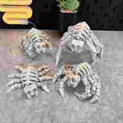 Flexi Skeleton Spider V1