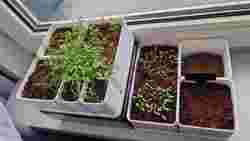 ev bahçesi için basit ve esnek bir bitki yetiştirme istasyonu