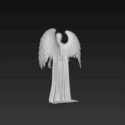 Hombre - ángel