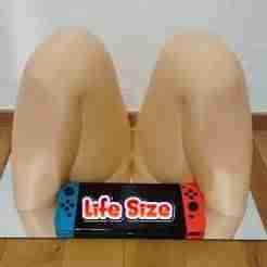 [Life-size] High school girl's knee model.