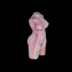 Torso Sex Doll Big tits