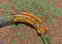 Electric guitar neck support (Strat optimized)