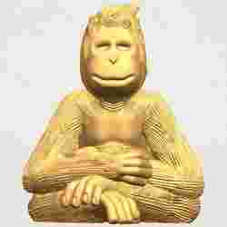 Chimpanzee