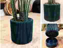 Himbeer Lampion (Rasberry lantern)