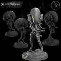 The Scourge: DreadArch Strein 2