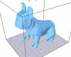 My beloved Chihuahua