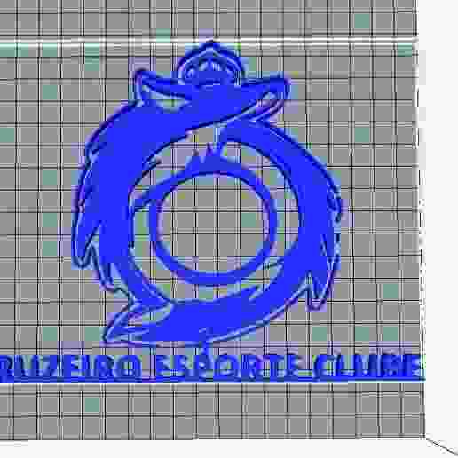 Cruzeiro Esporte Clube