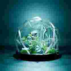 Geodesic Terrarium Dome V2 3/4