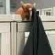 Highland Cow Cubicle Coat Hanger - EXTENDED