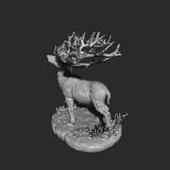 28-32mm Scale Majestic Antlered Beast