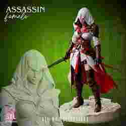 Assassin Heroine STL Detailed Female