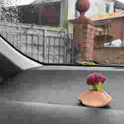 car interior vase