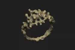 Coral weed  seaweed ocean under water aqua noise hole star