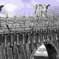 Dark Dragon Bridge Bloodbourne inspired walkway