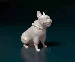 French bulldog in sweater