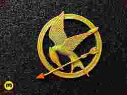Mockingjay Pin Hunger Games