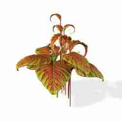 Orchid FLOWER SUNFLOWER PLANT GARDEN FURNITURE FOREST NATURE FRUIT APPLE LEAVES MAGIC MEDIEVAL PEAR TOMATO PREHISTORY FANTASY VEGETABLE 9