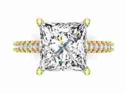 Princess Cut Solitaire with Pave Band 3DM