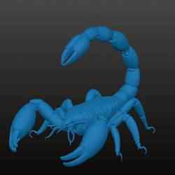 Scorpion