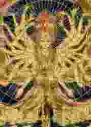 Suporte Alexa Echo Dot 4a e 5a Geração Yoga Girl 3 Modelos