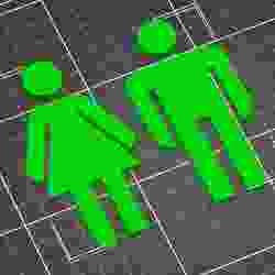 Toilet figures (WC)