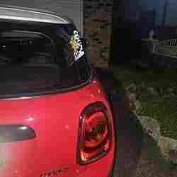 Toy Story Cow print Novelty car Tag