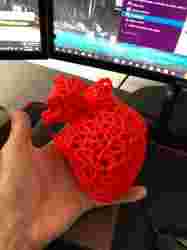 Human Heart - Voronoi