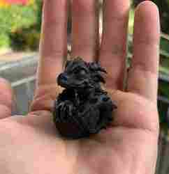 YUMURTADAN ÇIKMIŞ EJDERHA YUMURTASI